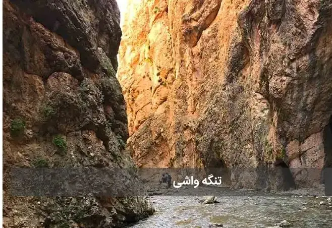 یةژظز