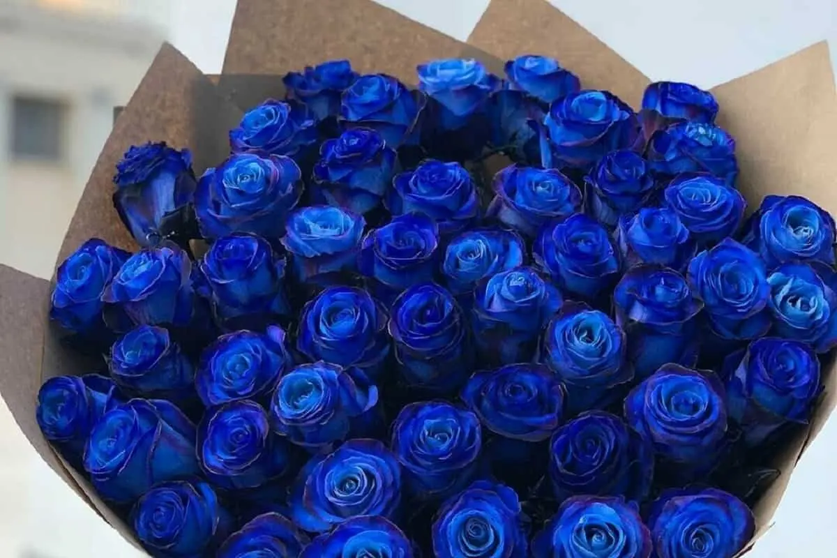 گل_های آبی