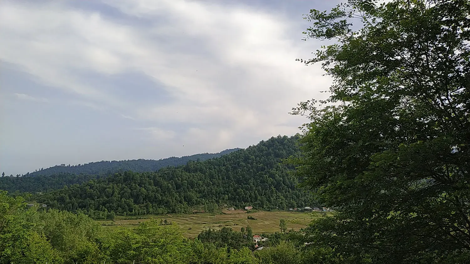 Siah-Daran-Forest-Park-in-Talash