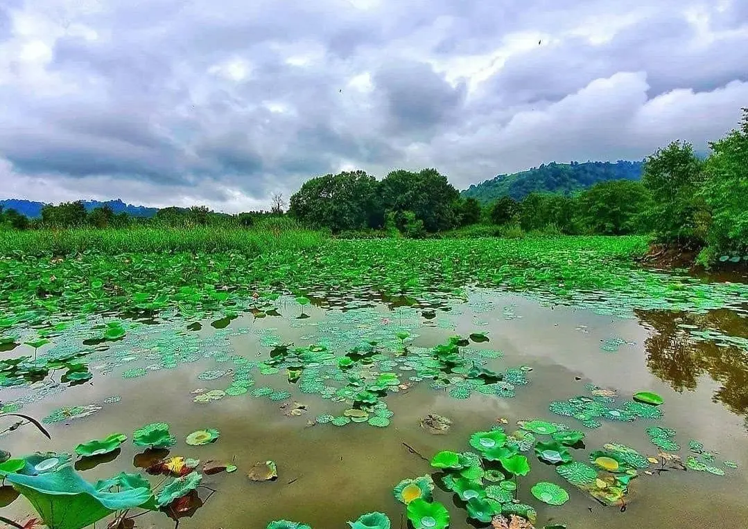 sustan-wetland-3