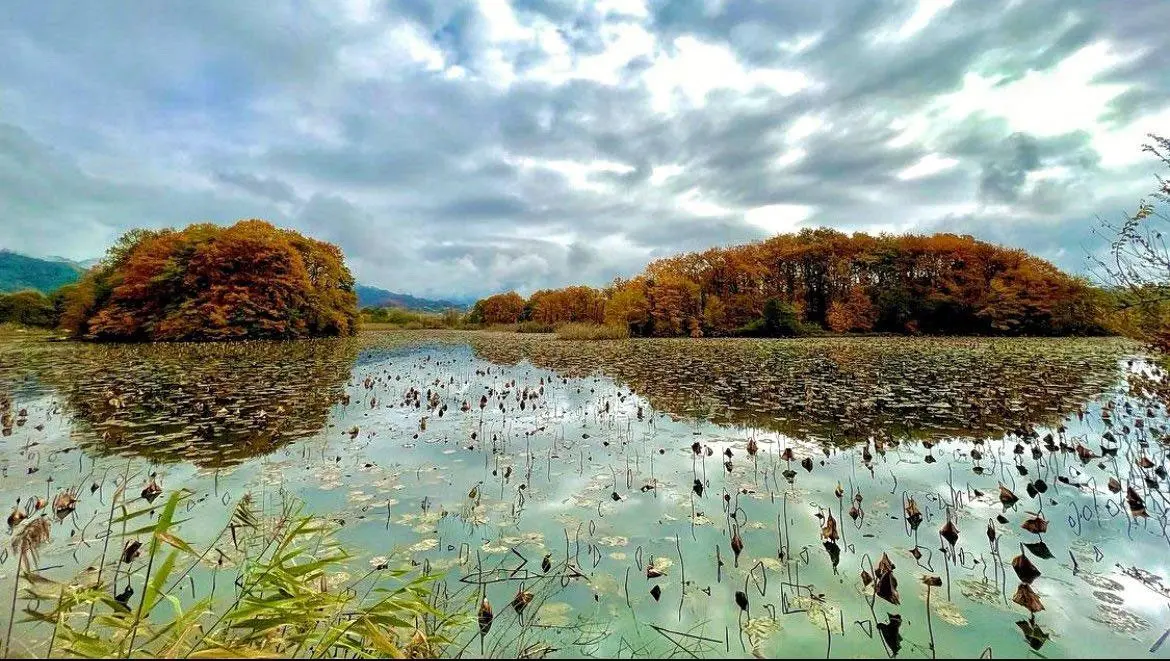 sustan-wetland-2