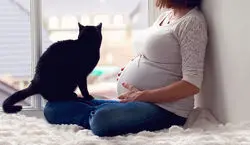 آیا موی گربه باعث نازایی خانم ها می شود؟ | حیوانات خانگی باعث نازایی می شوند ؟ + توضیحات