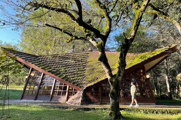  هتل چالدره تنکابن؛ اقامتی متفاوت در دل جنگل های مازندران + عکس