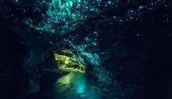 تو این غار ستاره ها رو از نزدیک لمس میکنین! | ویدیو و عکس های غار کرم های شب تاب