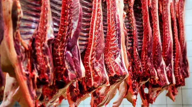 آخرین قیمت گوشت گوسفندی و گوساله در بازار  | جدول قیمت گوشت قرمز امروز