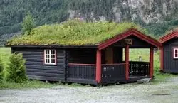 خانه هایی که روی سقفشون درخت و گیاه رشد میکنه!! + عکس