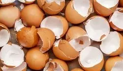 با پوست تخم مرغ یک لایه بردار طبیعی برای پوستت بساز + روش تهیه