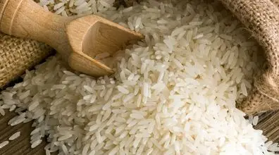 آغاز کاهش قیمت برنج | قیمت عمده برنج + جزئیات