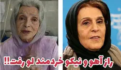 آهو خردمند و نیکو خردمند چه نسبتی با هم دارن؟ + عکس و معرفی