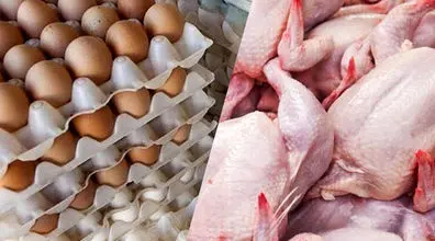 قیمت مرغ پر کشید!! | آخرین قیمت مرغ و تخم مرغ در بازار امروز