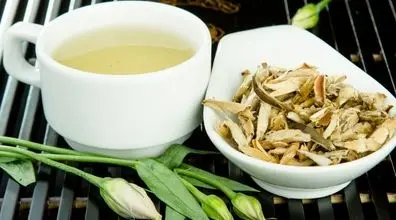 با خواص چای سفید، بزرگترین رقیب چای سبز آشنا بشید + طریقه دم کردن آن