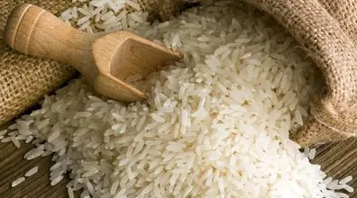 کاهش چشمگیر قیمت برنج | قیمت برنج کاهش یافت!