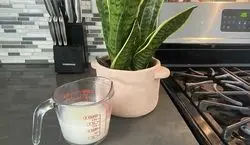 فواید آب برنج برای گیاهان و نحوه استفاده از آن 