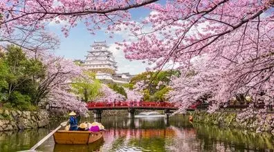 جاهای دیدنی ژاپن که هرگز نباید از دست دهید! | خاص ترین جاهای دیدنی ژاپن