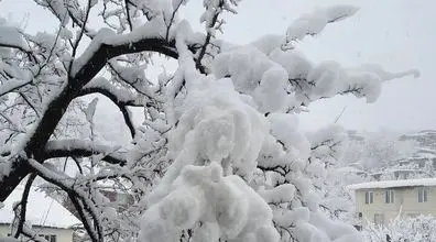 تهرانی ها فردا منتظر بارش برف باشند! | وضعیت آب و هوای 12 بهمن 