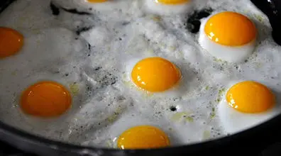 انواع روش پخت تخم مرغ! | نکته های طلایی پخت تخم مرغ که واجب است بدانید