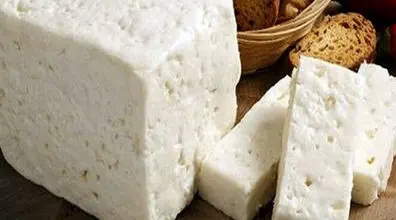 پنیری که از شیر انسان تولید می شود | عکس های عجیب اما واقعی!!!