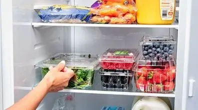 جای این 14 خوراکی در یخچال نیست! | خوراکی‌های ممنوعه برای یخچال کدامند؟