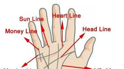 معنی هر کدام از خطوط کف دست چیست؟ | رازهایی که کف دستتان افشا می کند + تصاویر