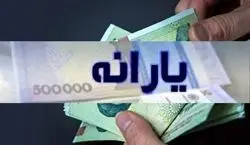 خبر مهم وزیر رفاه از یارانه ها در سال آینده + جزئیات