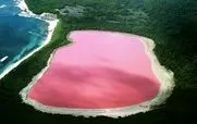 این دریاچه به جای آب میلک شیک توت فرنگی داره! | عکس های دیدنی برکه حیرت انگیز با رنگ صورتی!