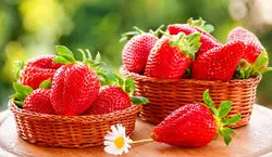 چطور در گلدان توت فرنگی پرورش دهیم؟ + فیلم آموزش 