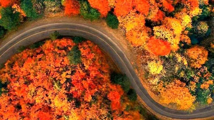 حال و هوای پاییزی رویایی جاده اسالم به خلخال! + عکس 