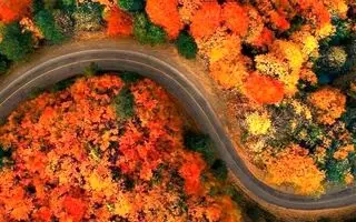 حال و هوای پاییزی رویایی جاده اسالم به خلخال! + عکس 