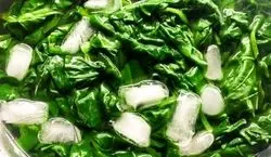  فریز کردن اسفناج به چند روش ساده و کاربردی | اسفناج رو باید اینجوری فریز کنی