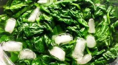  فریز کردن اسفناج به چند روش ساده و کاربردی | اسفناج رو باید اینجوری فریز کنی