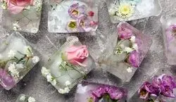گلاب یخ زده برای پوست چه فوایدی داره؟ + توضیحات