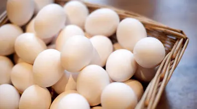 18 خواص شگفت انگیز تخم مرغ | دانستنی های مهم در مورد تخم مرغ 