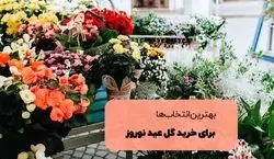 تو سفره هفت سین چه گلی بزاریم؟ | 7 گل جذاب و دوست داشتنی برای عید نوروز