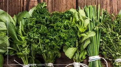 درمان قند خون با این سبزی معطر | دیابتی ها! از خوردن این سبزی معجزه گر غافل نشوید