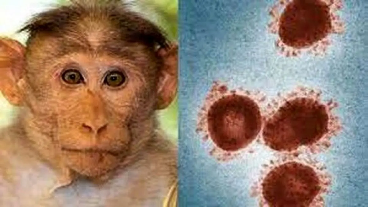 ویروس آبله میمون