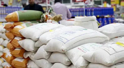 جزئیات جدیدترین قیمت برنج | قیمت جدید برنج