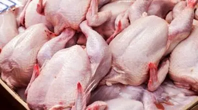 ریزش قیمت مرغ در بازار امروز ۲۸ مرداد ۱۴۰۲