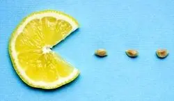 از فواید هسته لیمو ترش چی میدونی؟ | هسته لیمو ترش چه فوایدی دارد؟