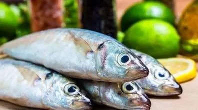 ماهی که این شکلی شده رو هیچ وقت نخورید | تشخیص ماهی ناسالم 