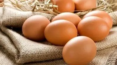تخم مرغ رو فریز کن خراب نشه! | کاربردهای جالب و مفید درباره تخم مرغ که نمی دانستید + روش فریز کردن