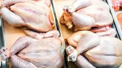 اگر این مطلب را بخوانید، دیگر مرغ نمی خورید | مضرات خورن گوشت مرغ که نمی دانستید