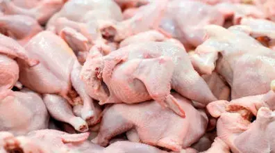کاهش قیمت مرغ تازه در میادین و تره بار | قیمت مرغ دربازار 27 مرداد 1401
