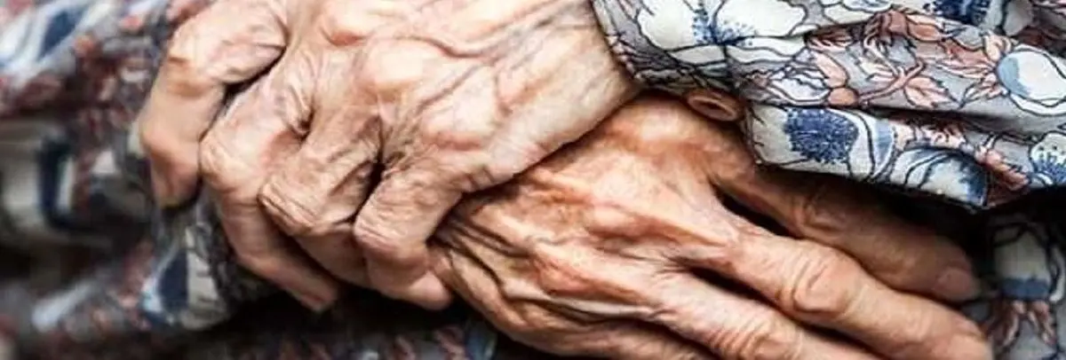 پیرزن عنکبوتی ایرانی